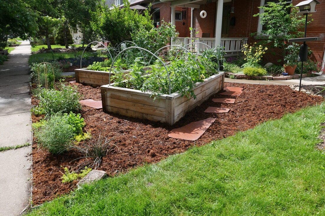 Cedar raised bed with tomato plants under metal hoops, beside red flagstone steps and mulch